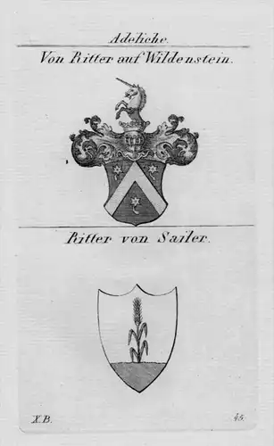 Wildenstein Sailer Wappen Adel coat of arms heraldry Heraldik Kupferstich