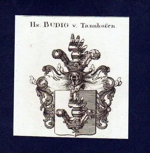 Herren Budig von Tannhofen Kupferstich Wappen Heraldik coat of arms