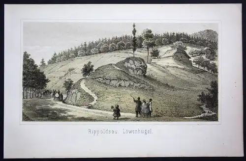 Bad Rippoldsau Löwenhügel Schwarzwald Baden-Württemberg Lithographie