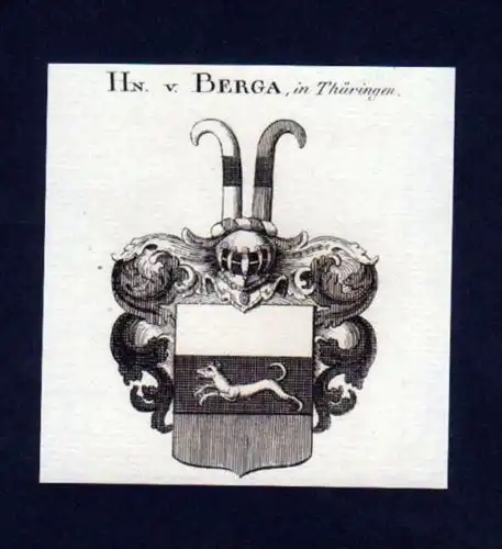 Herren v. Berga Thüringen Kupferstich Wappen