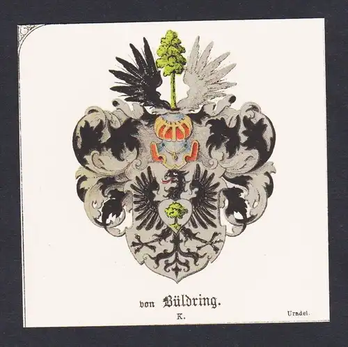 . von Büldring Wappen Heraldik coat of arms heraldry Litho