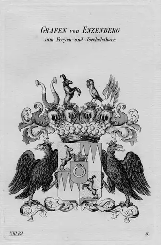 Enzenberg Wappen Adel coat of arms heraldry Heraldik crest Kupferstich