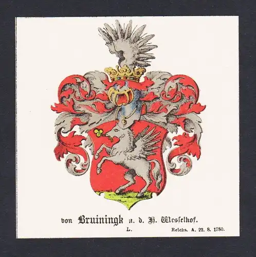 . von Bruiningk Wappen Heraldik coat of arms heraldry Litho