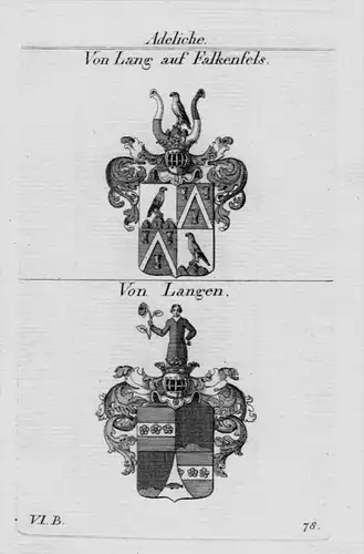 Lang Falkenfels Langen Wappen Adel coat of arms heraldry Kupferstich