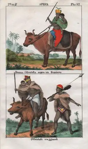 - South Africa Khoikhoi people costume Lithograph natives Negro