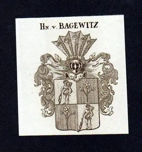 Herren von Bagewitz Original Kupferstich Wappen engraving Heraldik crest
