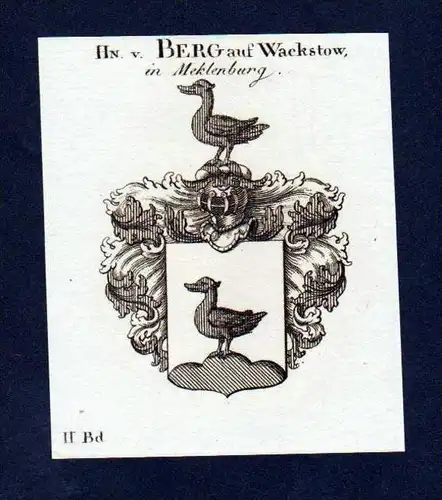 Herren von Berg Original Kupferstich Wappen coat of arms Heraldik