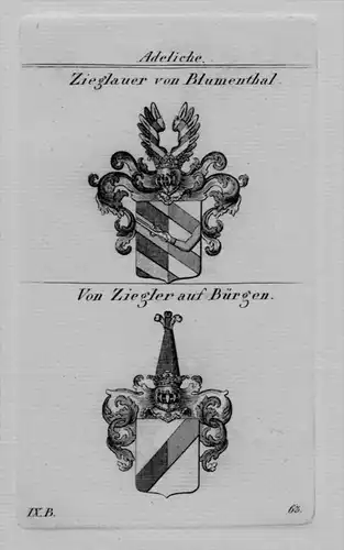 Zieglauer Blumenthal Ziegler Bürgen Wappen Adel coat of arms Kupferstich