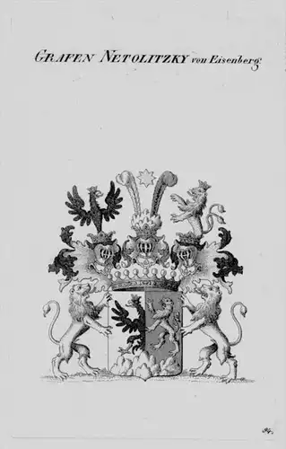 Netolitzky Wappen Adel coat of arms heraldry Heraldik crest Kupferstich