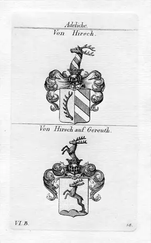 Hirsch / Von Hirsch auf Gereuth / Bayern - Wappen coat of arms Heraldik heraldry Kupferstich