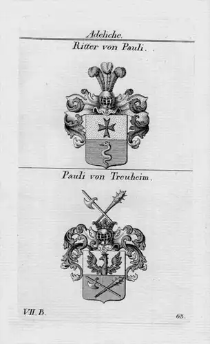 Von Pauli Treuheim Wappen Adel coat of arms heraldry Heraldik Kupferstich