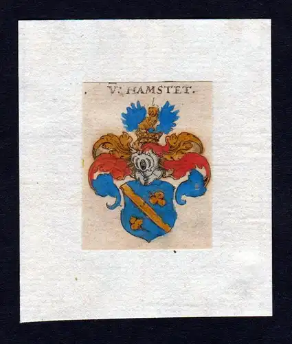 Hamstet 17. Jh Wappen coat of arms heraldry Heraldik Kupferstich