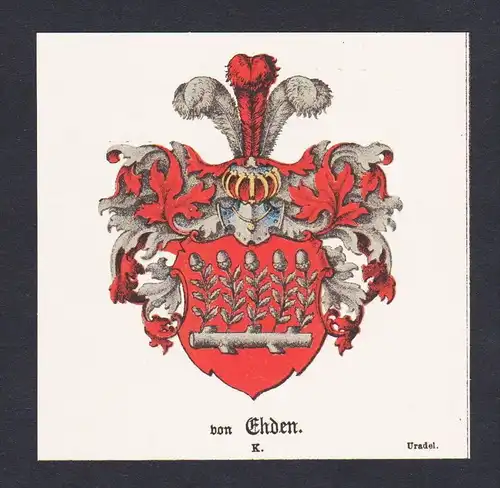 . von Ehden Wappen Heraldik coat of arms heraldry Litho
