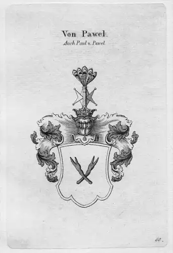 Pawel Wappen Adel coat of arms heraldry Heraldik crest Kupferstich