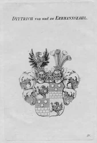 Erbmannszahl Wappen Adel coat of arms heraldry Heraldik crest Kupferstich