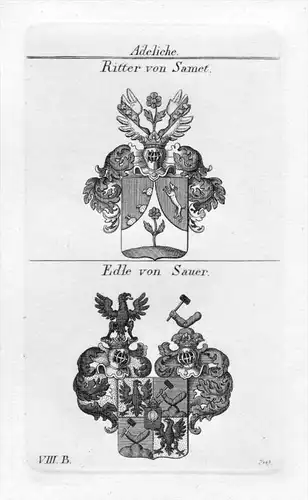Ritter Samet / Sauer - Wappen Adel coat of arms heraldry Heraldik Kupferstich