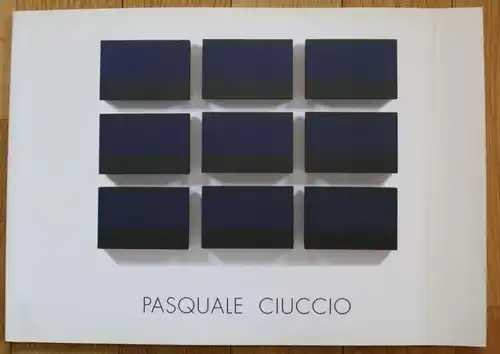 Pasquale Ciuccio Nicola Dimitri Maurizio Sciaccaluga Modena 2001 Katalog