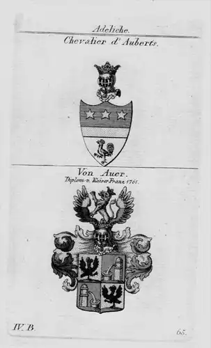 Chevalier d'Aberts Auer Wappen Adel coat of arms heraldry Kupferstich