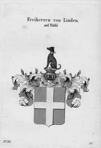 Linden Bühl Wappen Adel coat of arms heraldry Heraldik crest Kupferstich