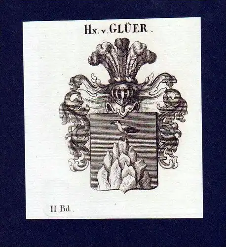 Herren von Glüer Original Kupferstich Wappen engraving Heraldik crest