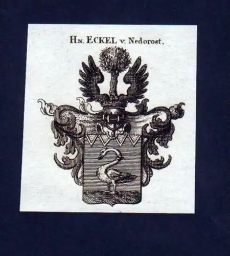 Herren Eckel v. Nedorost Kupferstich Wappen