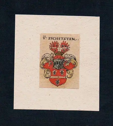 . - Eschsteten Eschstetten Wappen Adel coat of arms heraldry Kupferstich