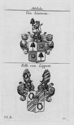 Lintnern Lippert Wappen Adel coat of arms heraldry Heraldik Kupferstich