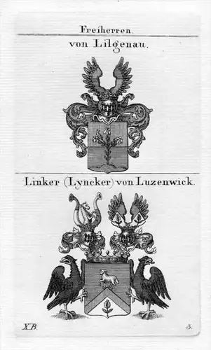 von Lilgenau Linker Luzenwick Wappen Adel heraldry Heraldik Kupferstich