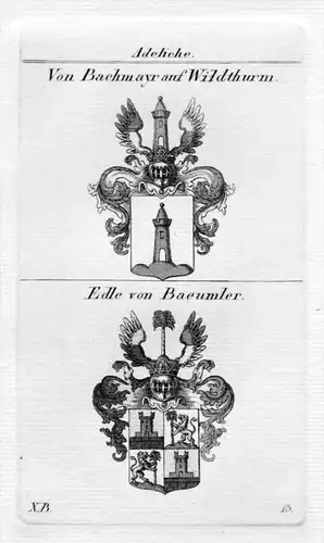 Bachmayr Wildthurm Bäumler Wappen Adel heraldry Heraldik Kupferstich