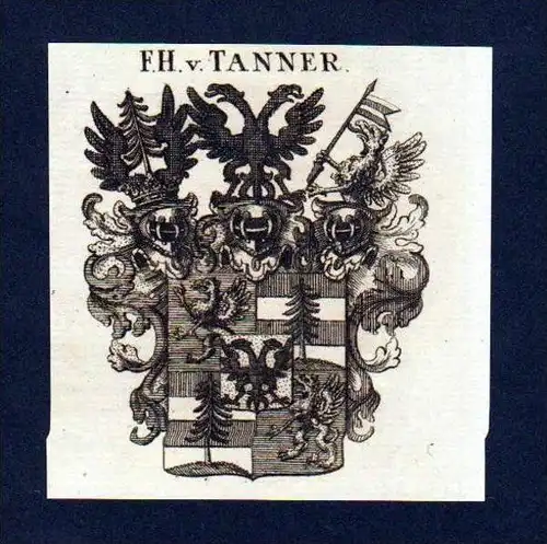 Freiherren von Tanner Kupferstich Wappen