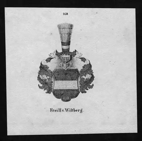 von Wiltberg Wappen Adel coat of arms heraldry Heraldik Lithographie