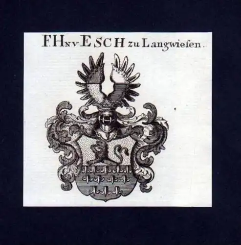 Freiherren v. Esch Langwiesen Kupferstich Wappen