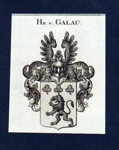 Herren von Galau Original Kupferstich Wappen engraving Heraldik crest