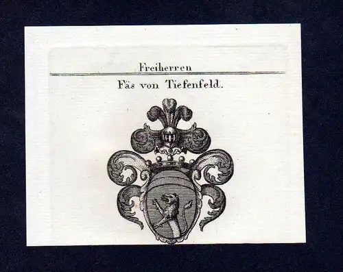 Freiherren Fäs von Tiefenfeld Kupferstich Wappen engraving Heraldik crest