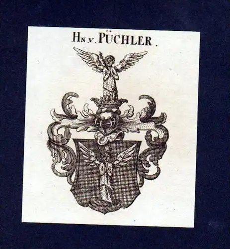 Herren von Püchler Original Kupferstich Wappen engraving Heraldik crest