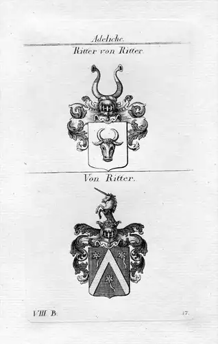 Ritter von Ritter - Wappen Adel coat of arms heraldry Heraldik Kupferstich