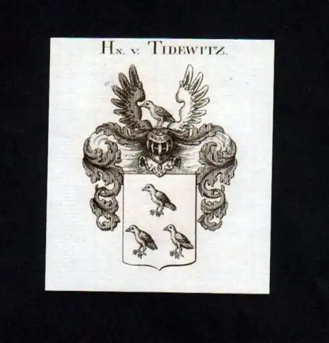 Herren v. Tidewitz Heraldik Kupferstich Wappen