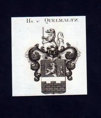 Herren v. Quelmaltz Heraldik Kupferstich Wappen