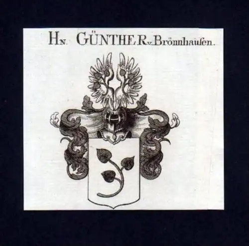 Herren Günther v. Brönnhausen Kupferstich Wappen