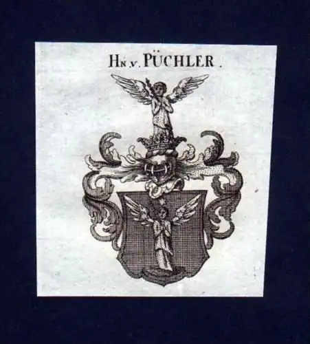 Herren v. Püchler Heraldik Kupferstich Wappen