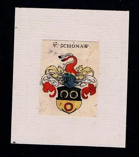 . - von Schönau Schönaw Wappen Adel coat of arms heraldry Kupferstich