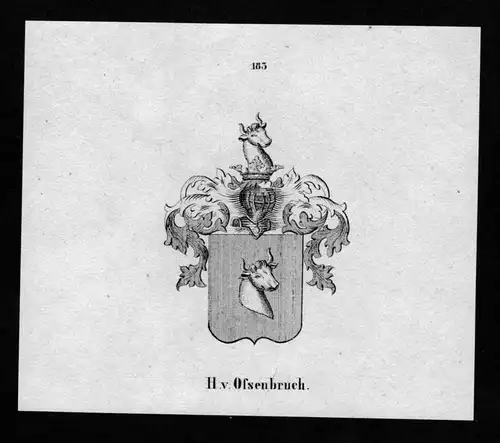 Ossenbruch Wappen Adel coat of arms heraldry Heraldik Lithographie