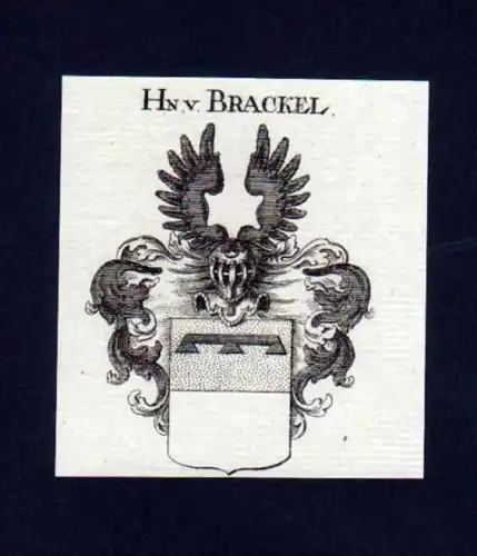 Herren v. Brackel Heraldik Kupferstich Wappen
