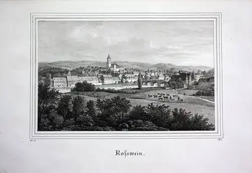 Rosswein Gesamtansicht view Freiberg Meissen Sachsen Lithographie