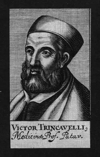Vittore Trincavelli Arzt doctor Professor Padua Kupferstich Portrait
