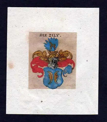 h. Zily Zilly Zilli Wappen Adel coat of arms heraldry Heraldik Kupferstich