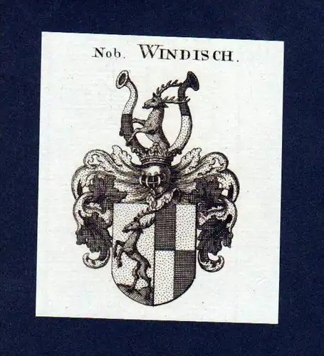 Herren Windisch Original Kupferstich Wappen Heraldik coat of arms