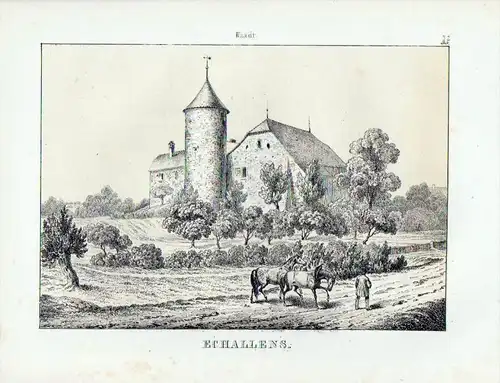 Schloss Echallens / Schweiz - original Lithographie Ansicht