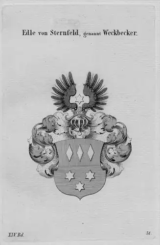 Sternfeld Weckbecker Wappen Adel coat of arms heraldry Haraldik Kupferstich