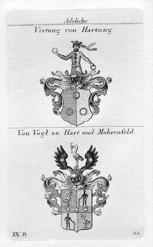 Virtung Vogl - Wappen Adel coat of arms heraldry Heraldik Kupferstich